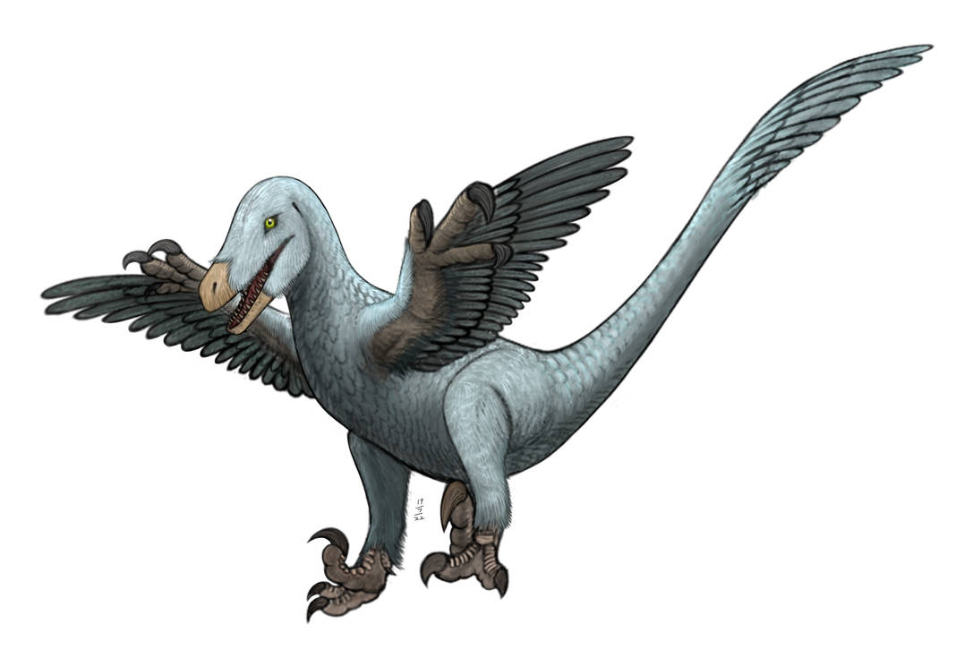 Digital Art - Raptor by Hypoem87 on DeviantArt