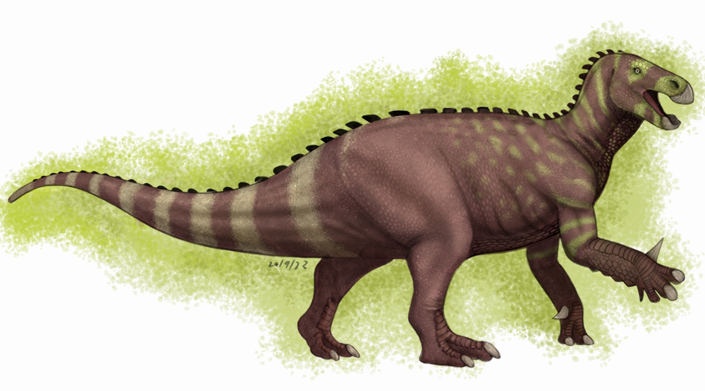 Digital Art Iguanodon By Hypoem87 On DeviantArt digital-art-iguanodon-by-hypoem87-on-deviantart