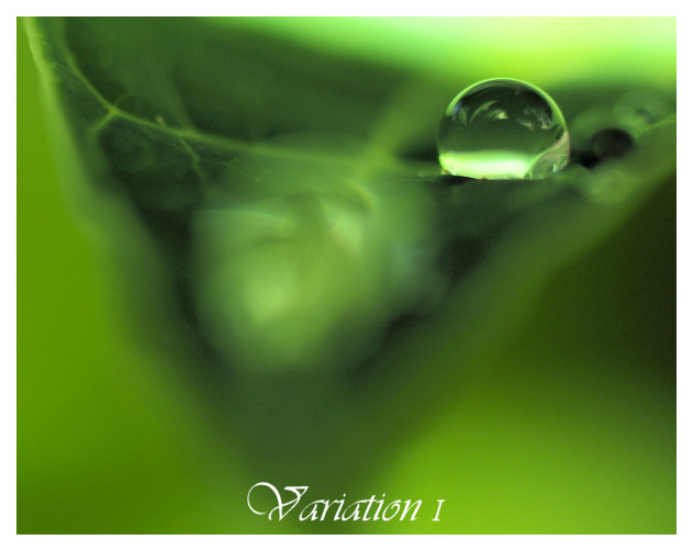 Droplet Series: Variation I