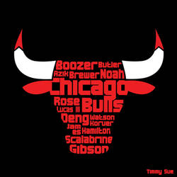 Chicago Bulls Logo