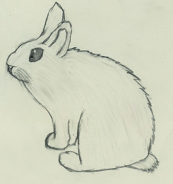 Cute Bunny by Supahrazy on DeviantArt