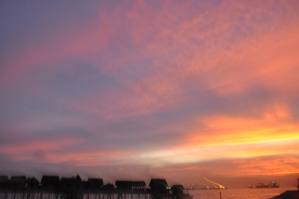Sunset Sunsett by Willustratorr on DeviantArt
