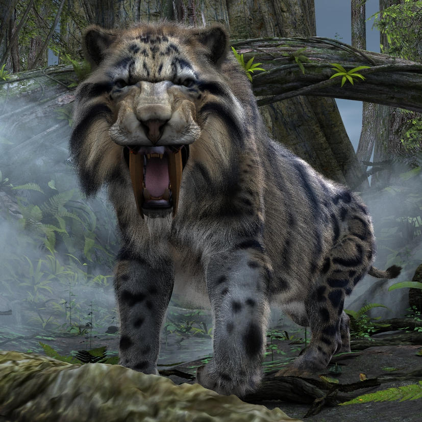 Sabertooth Tiger Legend 1 by TeddyBlackBear2040 on DeviantArt