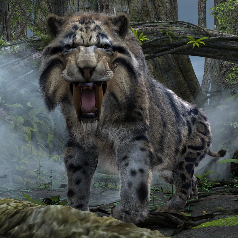 Sabertooth Tiger Legend 1 by TeddyBlackBear2040 on DeviantArt