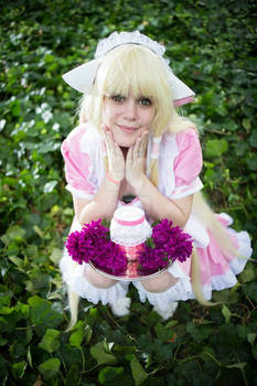 chii chobits