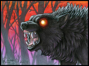 Night Wolf ACEO