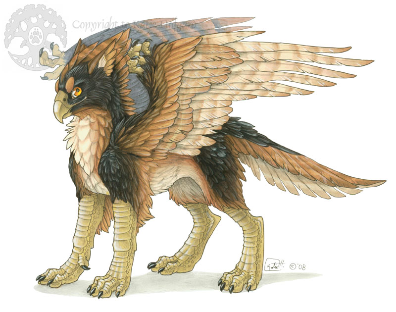 Griffon - Avian Companion by KatieHofgard