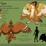 Nym Character Design 2012