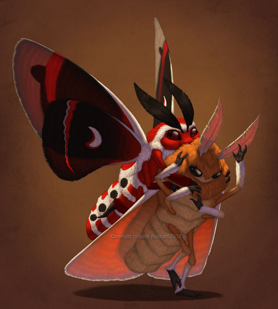 Moth Glomp