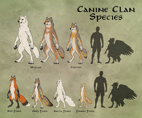 Canine Clans Overview