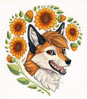 Sunflower Fox