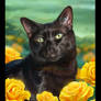 Grr's Roses