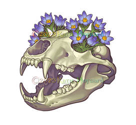 Pasque Blossom Bear Skull