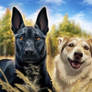 Fudge and Riley