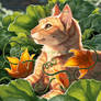 Squash Blossom Rory Upload