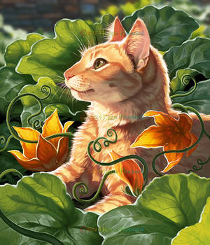 Squash Blossom Rory Upload