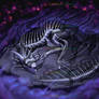 Starshade