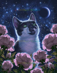 Moonlit Roses