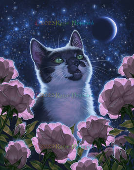 Moonlit Roses