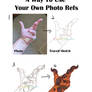 A Way To Use Your Own Photo Refs