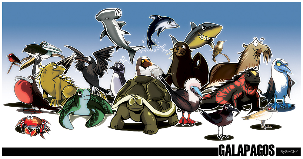 GALAPAGOS By GACHY CELTA On DeviantArt