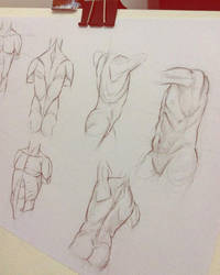 Male Torso Study