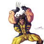 Another Wolverine