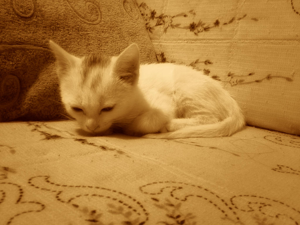 Little Riki by Halli-well on DeviantArt