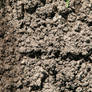 soil texture 01