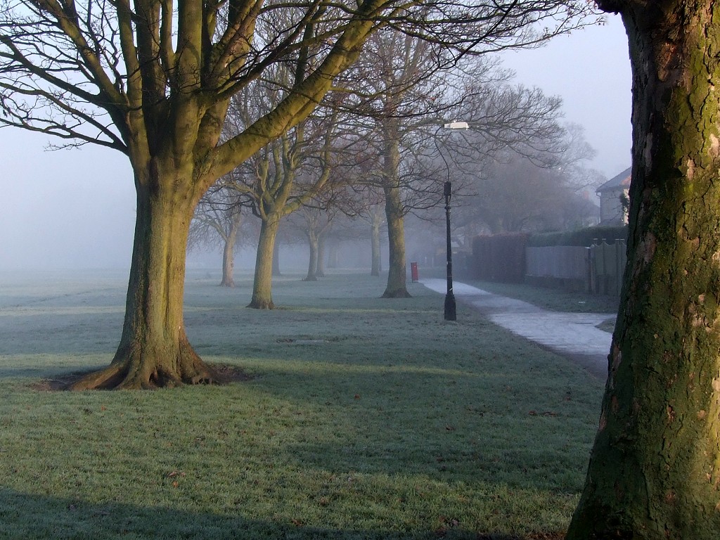 The Stray, Harrogate I