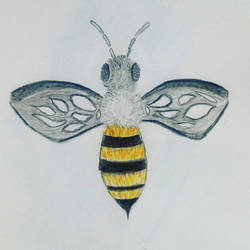 Bee Sketch 