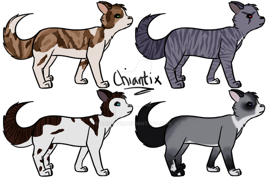 Feline Adopts