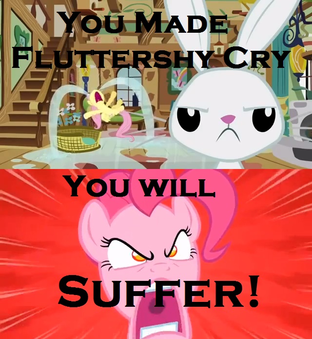 You Made Fluttershy Cry