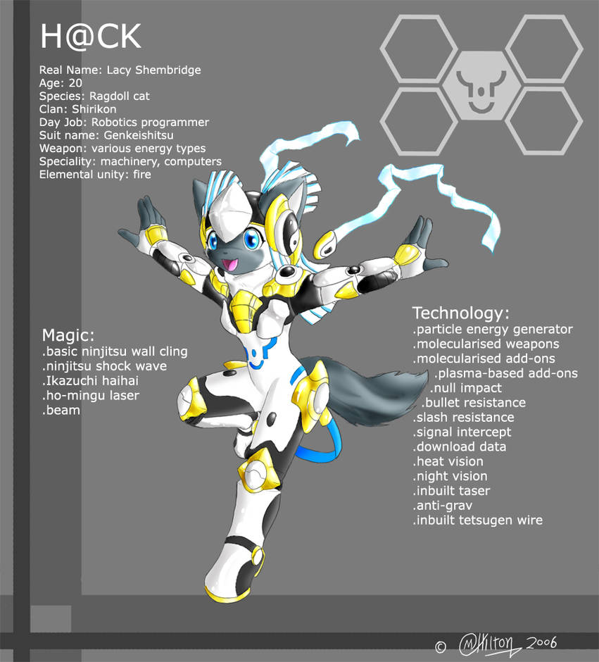 Hack-Character sheet by Ryanide on DeviantArt