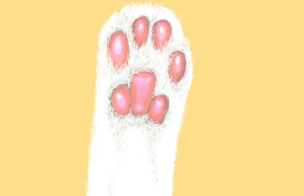 Cat paw