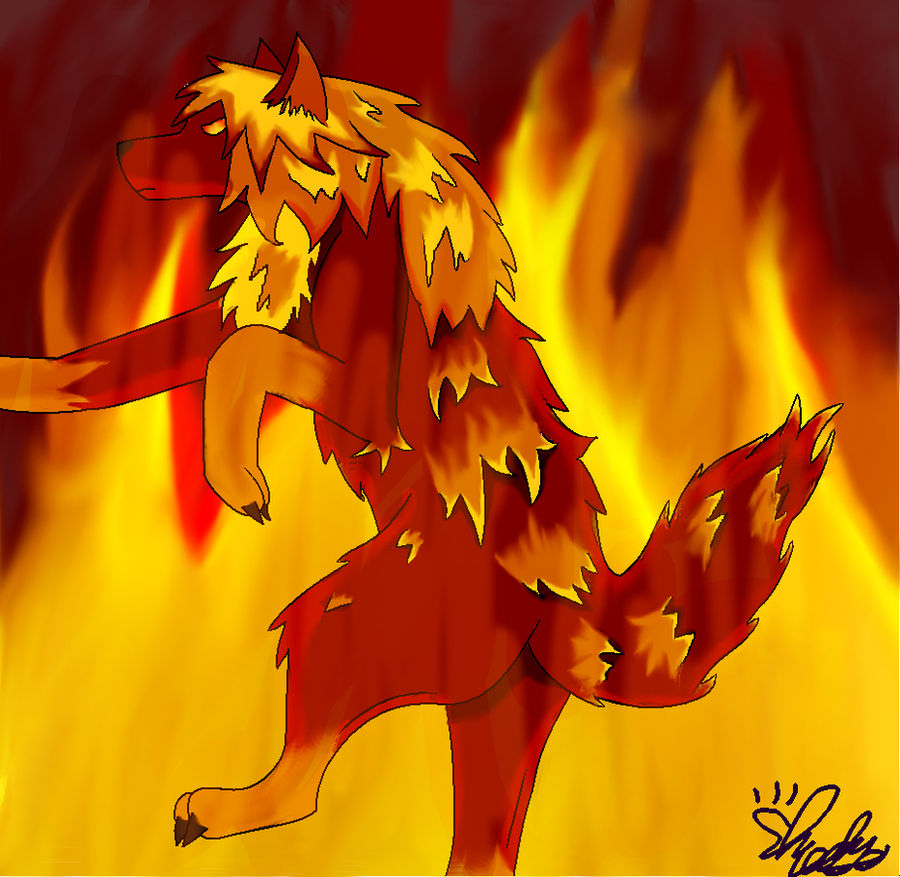 Fire Magic Wolf Fire Wolf Commission by Shadetiger on DeviantArt