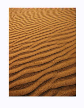 ripples in the sand