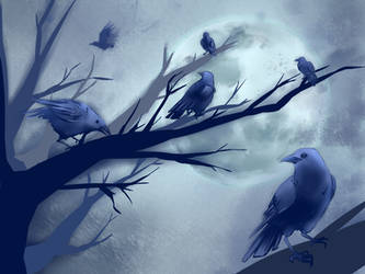 (6 of) Crows