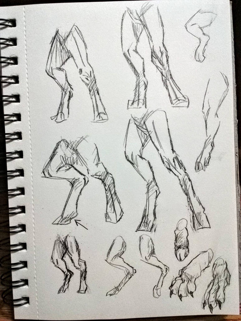 Beastars Digitigrade digitigrade legs by RaptorChatter on DeviantArt