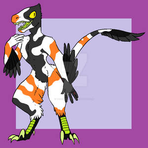 Raptor Adoptable 14 (OTA) - Closed