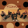 YELLOWCARD