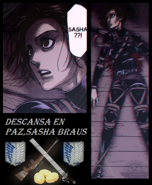 pix Sasha Braus Death Rip attack on titan sasha braus death