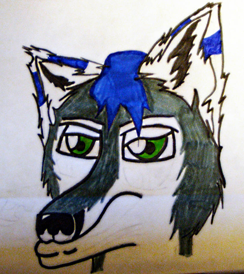 Maxius Headshot by greywolfmaxius on DeviantArt