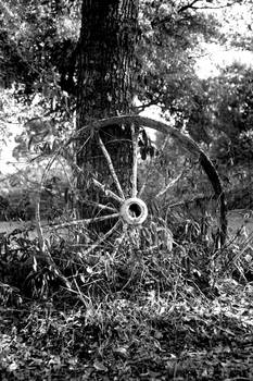 Wagon Wheel 35mm