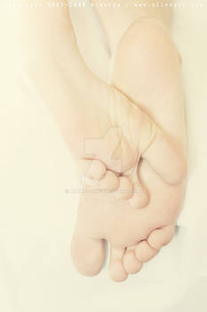 feet --