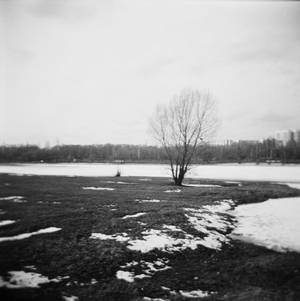 Holga. 014