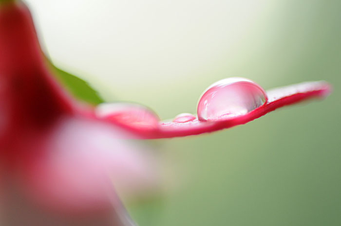 droplet 02