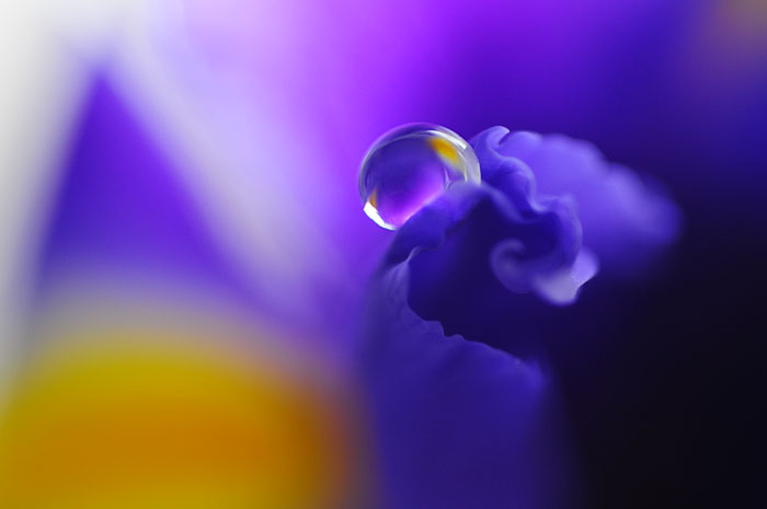 droplet 012