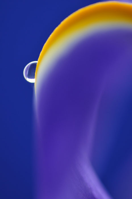 droplet 013