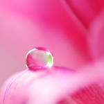 droplet 015 by AlexEdg
